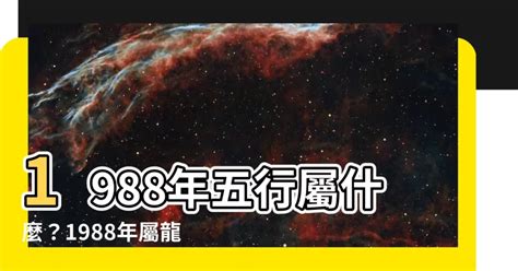 1988年屬|【1988 年五行屬什麼】屬龍的1988年生人！看過來！五行屬什。